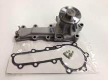 Skyline Water Pump
